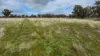 2123 Bangham Road, Bangham, SA 5268-Image
