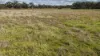 2123, Bangham SA 5268-Image
