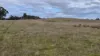 2123, Bangham SA 5268-Image