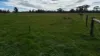 2123, Bangham SA 5268-Image
