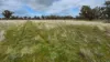 2123, Bangham SA 5268-Image