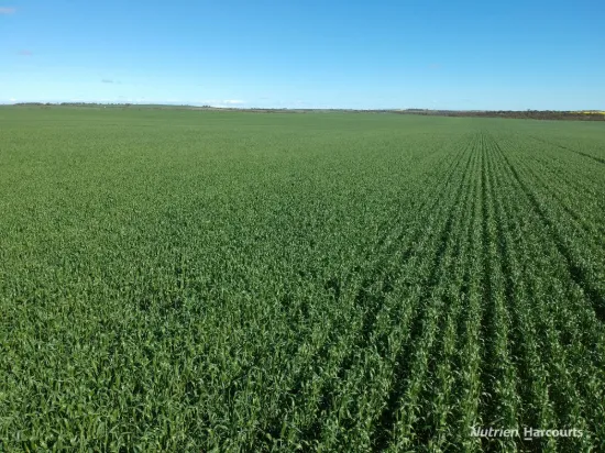 2174 Nanekine Road, Mingenew, WA 6522