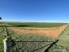 2174 Nanekine Road, Mingenew, WA 6522-Image