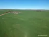 2174 Nanekine Road, Mingenew, WA 6522-Image