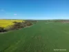 2174 Nanekine Road, Mingenew, WA 6522-Image