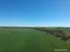 2174 Nanekine Road, Mingenew, WA 6522-Image