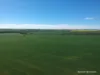 2174 Nanekine Road, Mingenew, WA 6522-Image