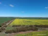 2174 Nanekine Road, Mingenew, WA 6522-Image