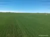 2174 Nanekine Road, Mingenew, WA 6522-Image
