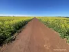 2174 Nanekine Road, Mingenew, WA 6522-Image