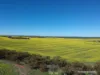 2174 Nanekine Road, Mingenew, WA 6522-Image