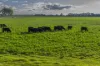 21R Nantilla Road, Ballimore, NSW 2830