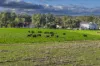 21R Nantilla Road, Ballimore, NSW 2830-Image