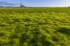 21R Nantilla Road, Ballimore, NSW 2830-Image