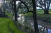 21R Nantilla Road, Ballimore, NSW 2830-Image