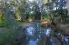 21R Nantilla Road, Ballimore, NSW 2830-Image