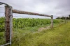 220 Bournes Road, Bool Lagoon, SA 5271-Image