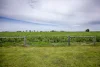 220 Bournes Road, Bool Lagoon, SA 5271-Image