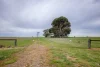220 Bournes Road, Bool Lagoon, SA 5271-Image