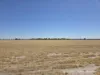 220 Nagel Road, Badgebup, WA 6317-Image