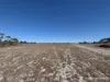 220 Nagel Road, Badgebup, WA 6317-Image