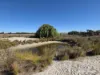 220 Nagel Road, Badgebup, WA 6317-Image