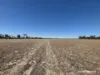 220 Nagel Road, Badgebup, WA 6317-Image