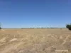 220 Nagel Road, Badgebup, WA 6317-Image