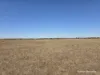 220 Nagel Road, Badgebup, WA 6317-Image