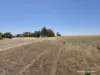 220 Nagel Road, Badgebup, WA 6317-Image