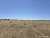 220 Nagel Road, Badgebup, WA 6317-Image