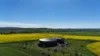 220 Schobers Road, Auburn, SA 5451