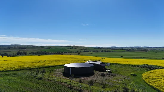 220 Schobers Road, Auburn, SA 5451