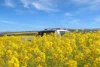 220 Schobers Road, Auburn, SA 5451-Image