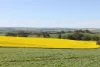 220 Schobers Road, Auburn, SA 5451-Image