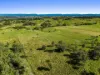 220 Upper Stratheden Road, Kyogle, NSW 2474-Image