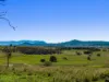 220 Upper Stratheden Road, Kyogle, NSW 2474-Image