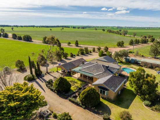 2214, Coolamon NSW 2701-Image