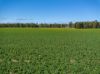 2214, Coolamon NSW 2701-Image