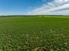 2214, Coolamon NSW 2701-Image