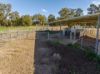 2214, Coolamon NSW 2701-Image