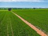 2214, Coolamon NSW 2701-Image