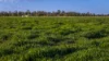 221R Narromine Road, Dubbo, NSW 2830-Image