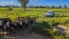 221R Narromine Road, Dubbo, NSW 2830-Image