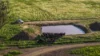 221R Narromine Road, Dubbo, NSW 2830-Image