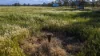 221R Narromine Road, Dubbo, NSW 2830-Image