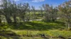 221R Narromine Road, Dubbo, NSW 2830-Image