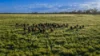 221R Narromine Road, Dubbo, NSW 2830-Image