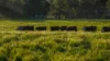 221R Narromine Road, Dubbo, NSW 2830-Image