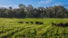 221R Narromine Road, Dubbo, NSW 2830-Image